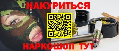 спиды Кингисепп