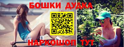 спиды Кингисепп