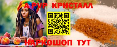 спиды Кингисепп