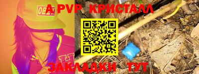 спиды Кингисепп