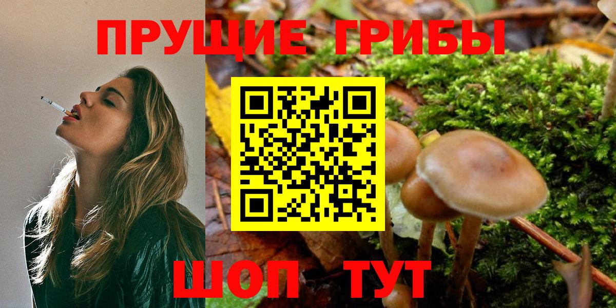 Котовск  Псилоцибиновые грибы Magic Shrooms  Вход с VPN 
