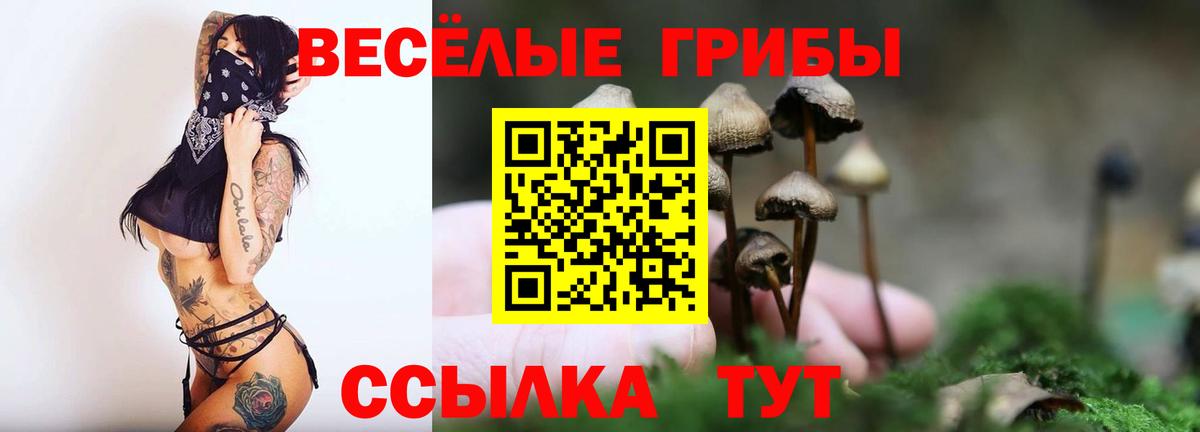 Галлюциногенные грибы Psilocybine cubensis Котовск