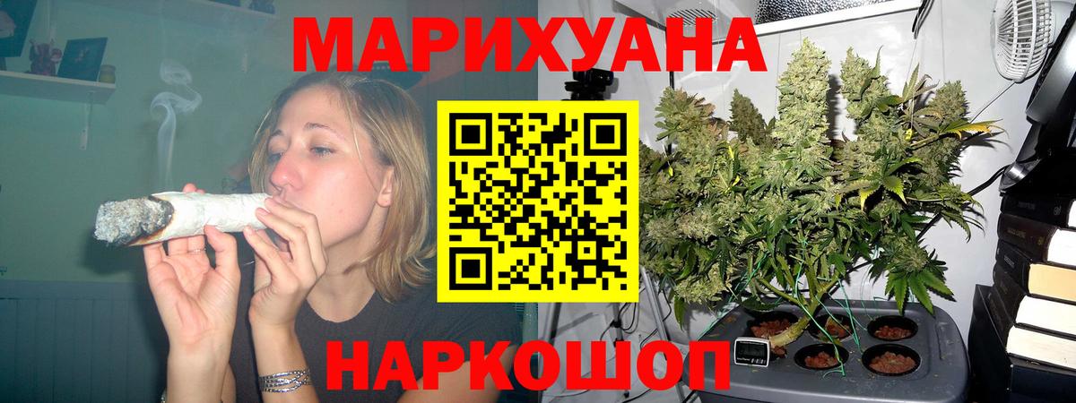 Бошки марихуана ГИДРОПОН  Вход с VPN  Канабис Bruce Banner  Каннабис Bruce Banner  Котовск 